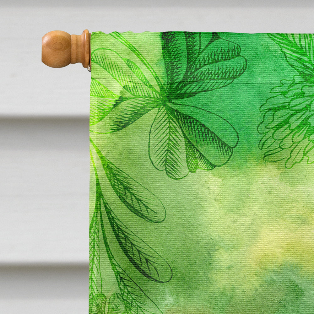 Irish Whiskey and Music House Flag 28x40 Porch Sleeve Pole Decorative Outside Yard Banner Artwork Wall Hanging, Polyester