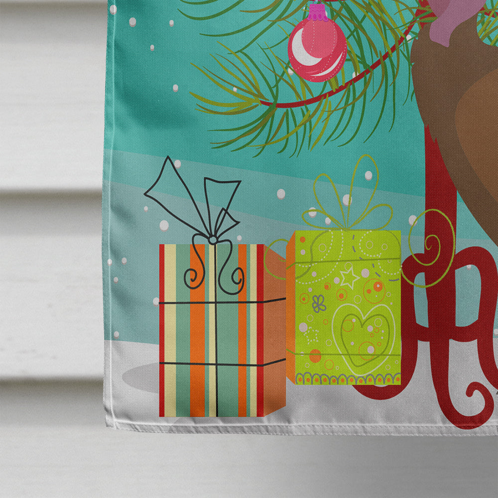 Bourbon Red Turkey Hen Christmas House Flag 28x40 Porch Sleeve Pole Decorative Outside Yard Banner Artwork Wall Hanging, Polyester