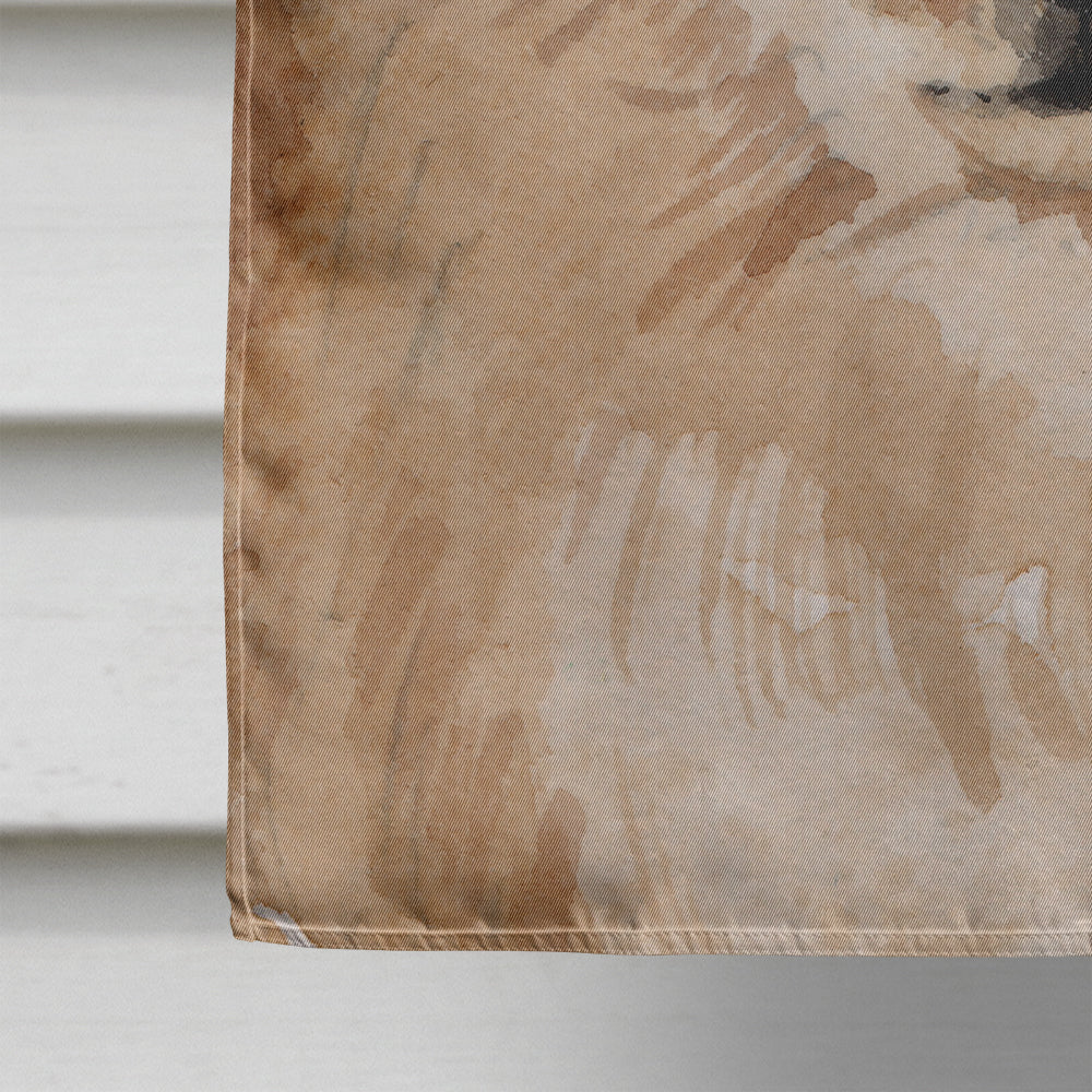 Pomeranian Pine Cones House Flag 28x40 Porch Sleeve Pole Decorative Outside Yard Banner Artwork Wall Hanging, Polyester