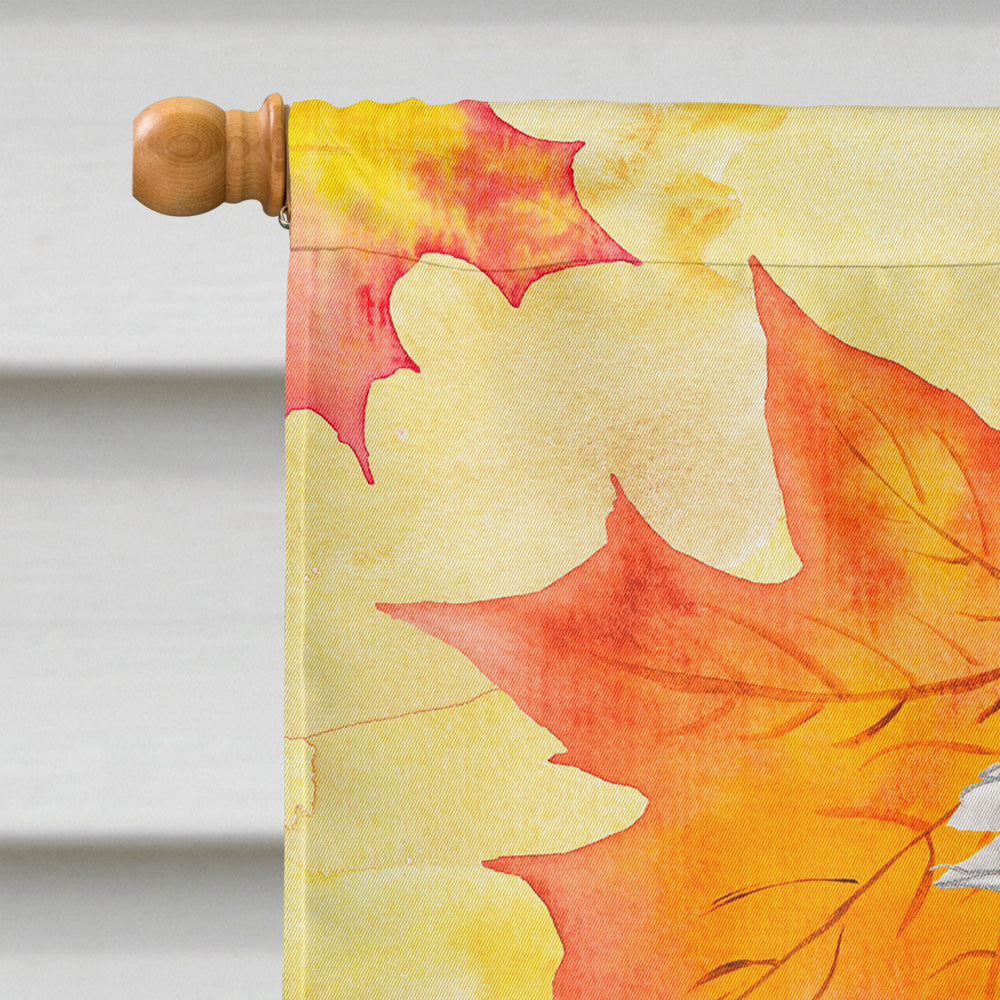 Fall Leaves Shih Tzu House Flag 28x40 Porch Sleeve Pole Decorative Outside Yard Banner Artwork Wall Hanging, Polyester