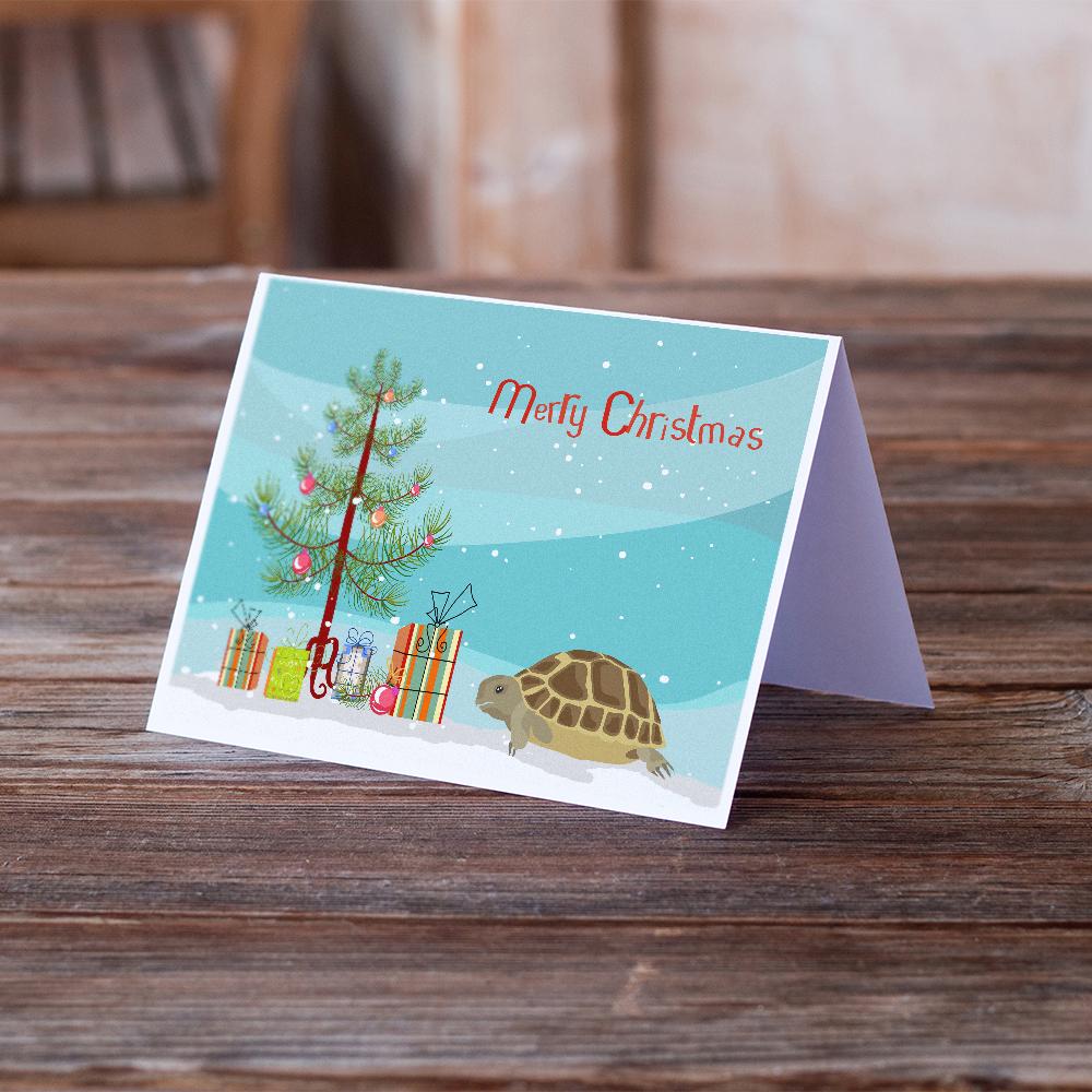 Turtle Merry Christmas Greeting Cards Pack of 8 Blank Cards with Envelopes Whimsical A7 Size 5x7