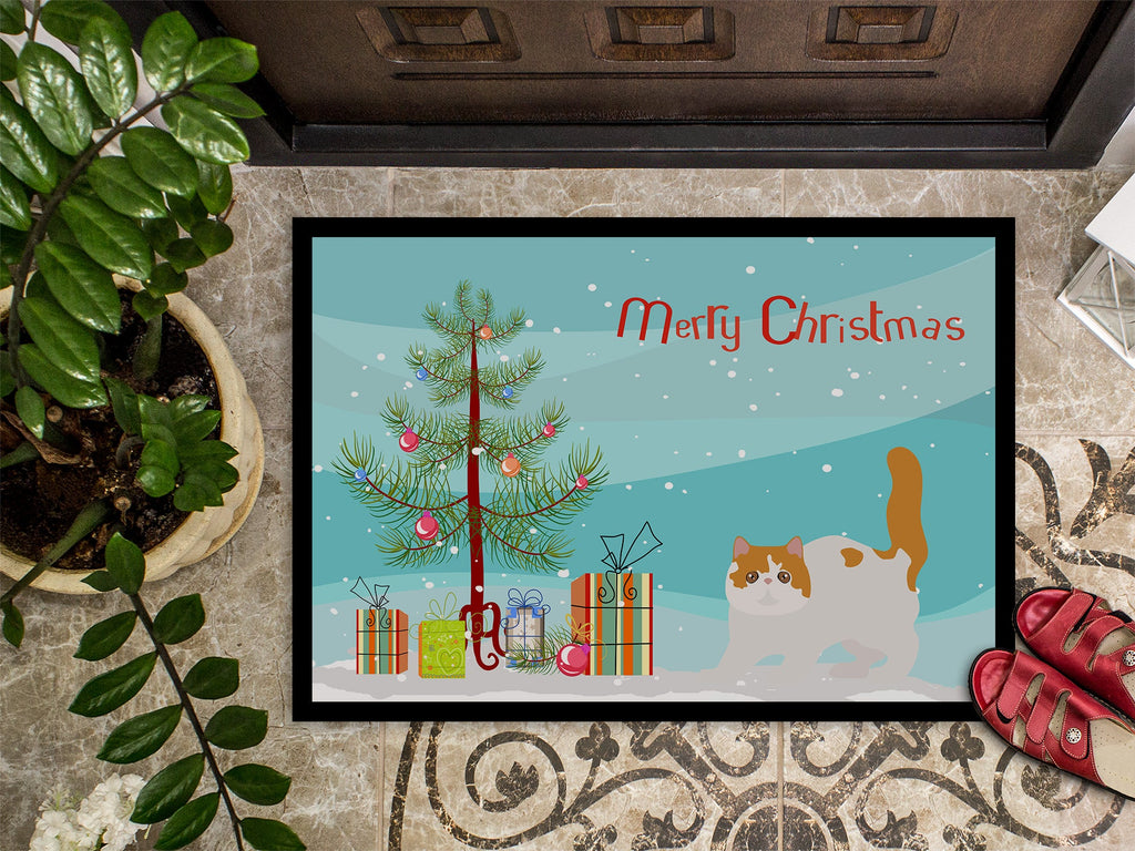 Exotic Shorthair Cat Christmas Doormat Indoor Outdoor 24H X 36W Front Door Mat Rugs for Entryway, Non Slip Washable Low Pile,