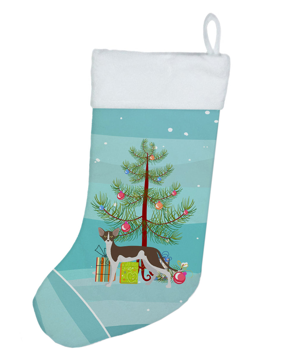 Oriental Shorthair Cat Christmas Holiday Stocking Double-Sided Print, Polyester Suede,11x18, Made in USA
