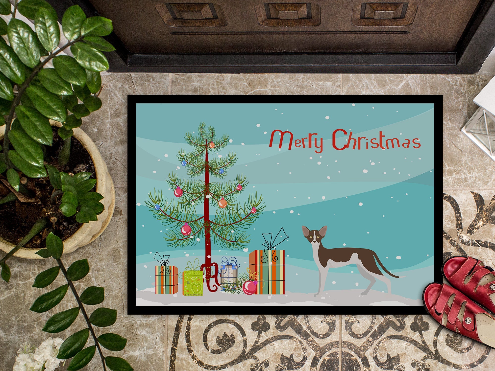 Oriental Shorthair Cat Christmas Doormat Indoor Outdoor 24H X 36W Front Door Mat Rugs for Entryway, Non Slip Washable Low Pile,