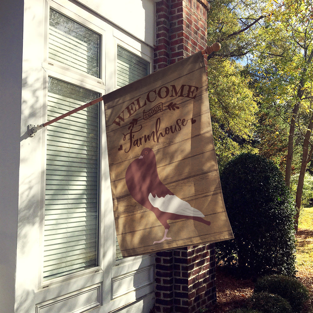 English Pouter Pigeon Welcome House Flag 28x40 Porch Sleeve Pole Decorative Outside Yard Banner Artwork Wall Hanging, Polyester