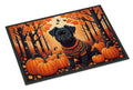 Affenpinscher Fall Doormat Indoor Outdoor 18H X 27W Front Door Mat Rugs for Entryway, Non Slip Washable