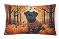 Affenpinscher Fall Decorative Throw Pillow 12x16 Indoor Outdoor Accent Cushion, Fabric Cover with Insert for Sofa, Bed, Porch & Living Room