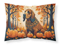 Bloodhound Fall Standard Pillowcase Lightweight Super Soft Easy Care Decorative Artwork Pillowcase, Standard