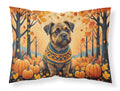 Border Terrier Fall Standard Pillowcase Lightweight Super Soft Easy Care Decorative Artwork Pillowcase, Standard