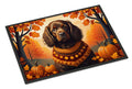 Boykin Spaniel Fall Doormat Indoor Outdoor 18H X 27W Front Door Mat Rugs for Entryway, Non Slip Washable