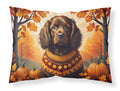 Boykin Spaniel Fall Standard Pillowcase Lightweight Super Soft Easy Care Decorative Artwork Pillowcase, Standard