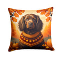 Boykin Spaniel Fall Decorative Throw Pillow 18x18 Indoor Outdoor Accent Cushion, Fabric Cover with Insert for Sofa, Bed, Porch & Living Room