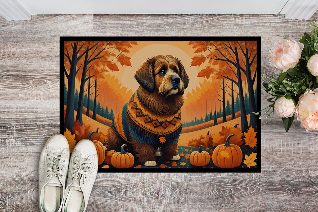 Briard Fall Doormat Indoor Outdoor 24H X 36W Front Door Mat Rugs for Entryway, Non Slip Washable Low Pile,