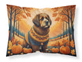 Briard Fall Standard Pillowcase Lightweight Super Soft Easy Care Decorative Artwork Pillowcase, Standard