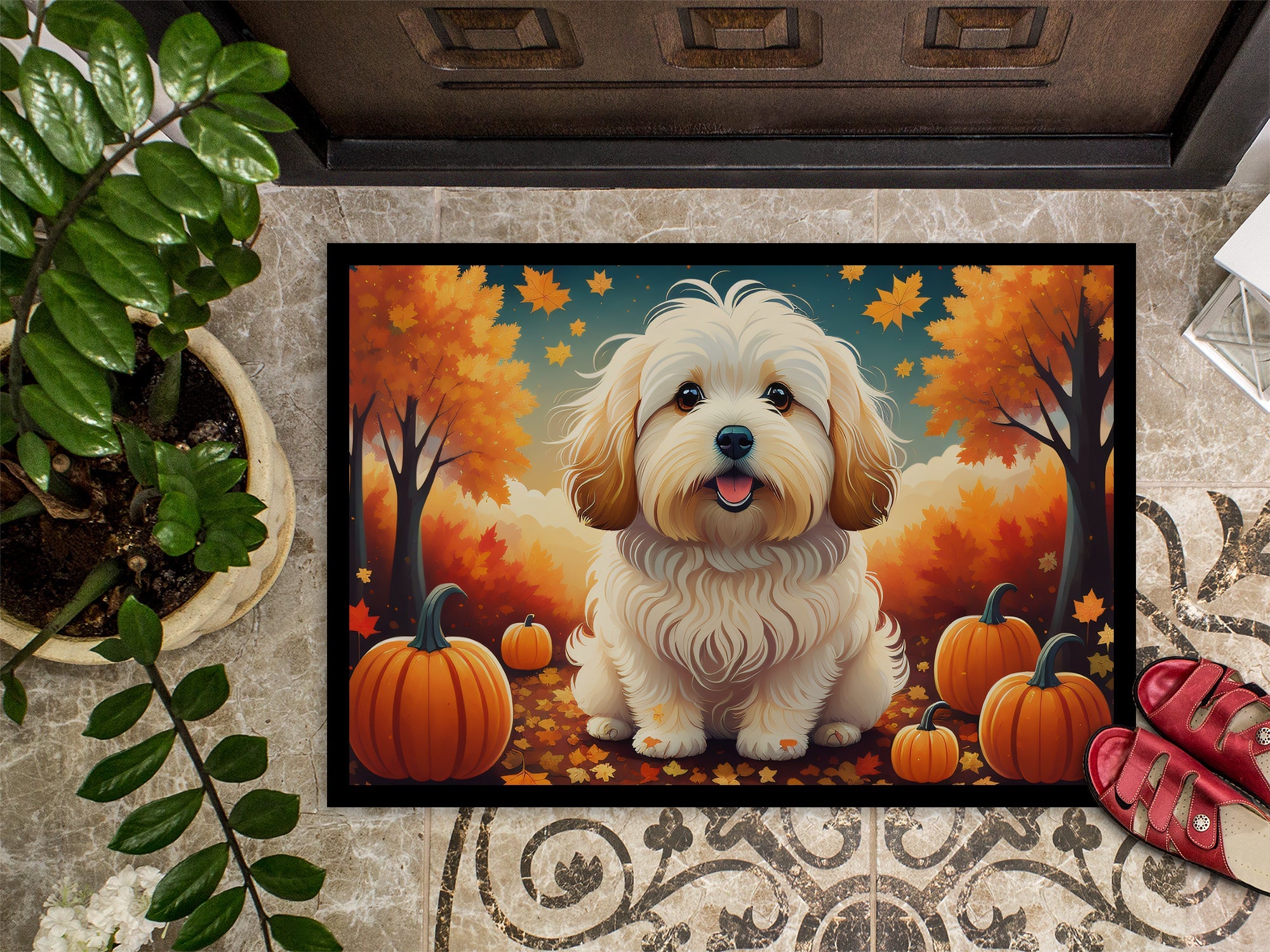 Coton De Tulear Fall Doormat Indoor Outdoor 24H X 36W Front Door Mat Rugs for Entryway, Non Slip Washable Low Pile,
