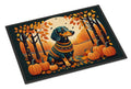 Dachshund Fall Doormat Indoor Outdoor 24H X 36W Front Door Mat Rugs for Entryway, Non Slip Washable Low Pile,