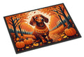 Dachshund Fall Doormat Indoor Outdoor 18H X 27W Front Door Mat Rugs for Entryway, Non Slip Washable