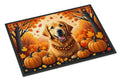 Golden Retriever Fall Doormat Indoor Outdoor 24H X 36W Front Door Mat Rugs for Entryway, Non Slip Washable Low Pile,