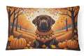 Chocolate Labrador Retriever Fall Decorative Throw Pillow 12x16 Indoor Outdoor Accent Cushion, Fabric Cover with Insert for Sofa, Bed, Porch & Living Room