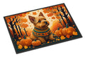 Norwich Terrier Fall Doormat Indoor Outdoor 24H X 36W Front Door Mat Rugs for Entryway, Non Slip Washable Low Pile,