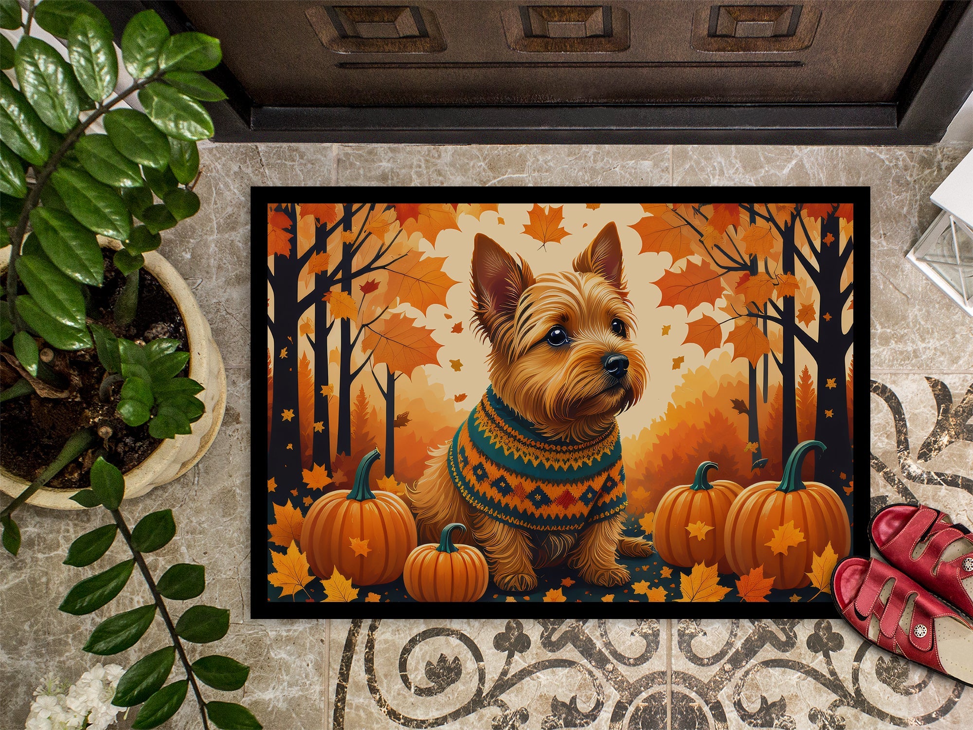 Norwich Terrier Fall Doormat Indoor Outdoor 24H X 36W Front Door Mat Rugs for Entryway, Non Slip Washable Low Pile,