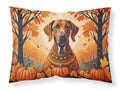 Rhodesian Ridgeback Fall Standard Pillowcase Lightweight Super Soft Easy Care Decorative Artwork Pillowcase, Standard