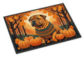Shar Pei Fall Doormat Indoor Outdoor 18H X 27W Front Door Mat Rugs for Entryway, Non Slip Washable