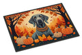 Weimaraner Fall Doormat Indoor Outdoor 24H X 36W Front Door Mat Rugs for Entryway, Non Slip Washable Low Pile,