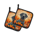 Weimaraner Fall Pot Holder Set of 2 Heat Resistant Quilted Hot Pads 7.5 x 7.5 Inch, Insulated Kitchen Trivets for Cooking & Baking