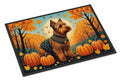Welsh Terrier Fall Doormat Indoor Outdoor 18H X 27W Front Door Mat Rugs for Entryway, Non Slip Washable