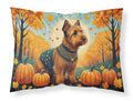 Welsh Terrier Fall Standard Pillowcase Lightweight Super Soft Easy Care Decorative Artwork Pillowcase, Standard