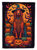 Irish Setter Witchy Halloween House Flag 28x40 Porch Sleeve Pole Decorative Outside Yard Banner Artwork Wall Hanging, Polyester