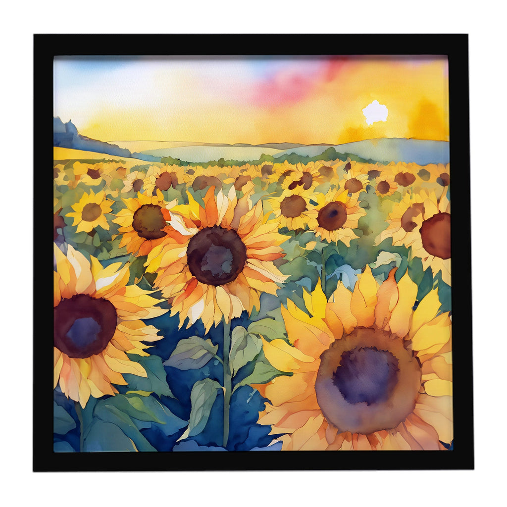 Kansas Sunflowers in Watercolor Framed Metal Print Bathroom, Kitchen, Office, Home Decor Wall Art Ready to Hang, Square, 8X8