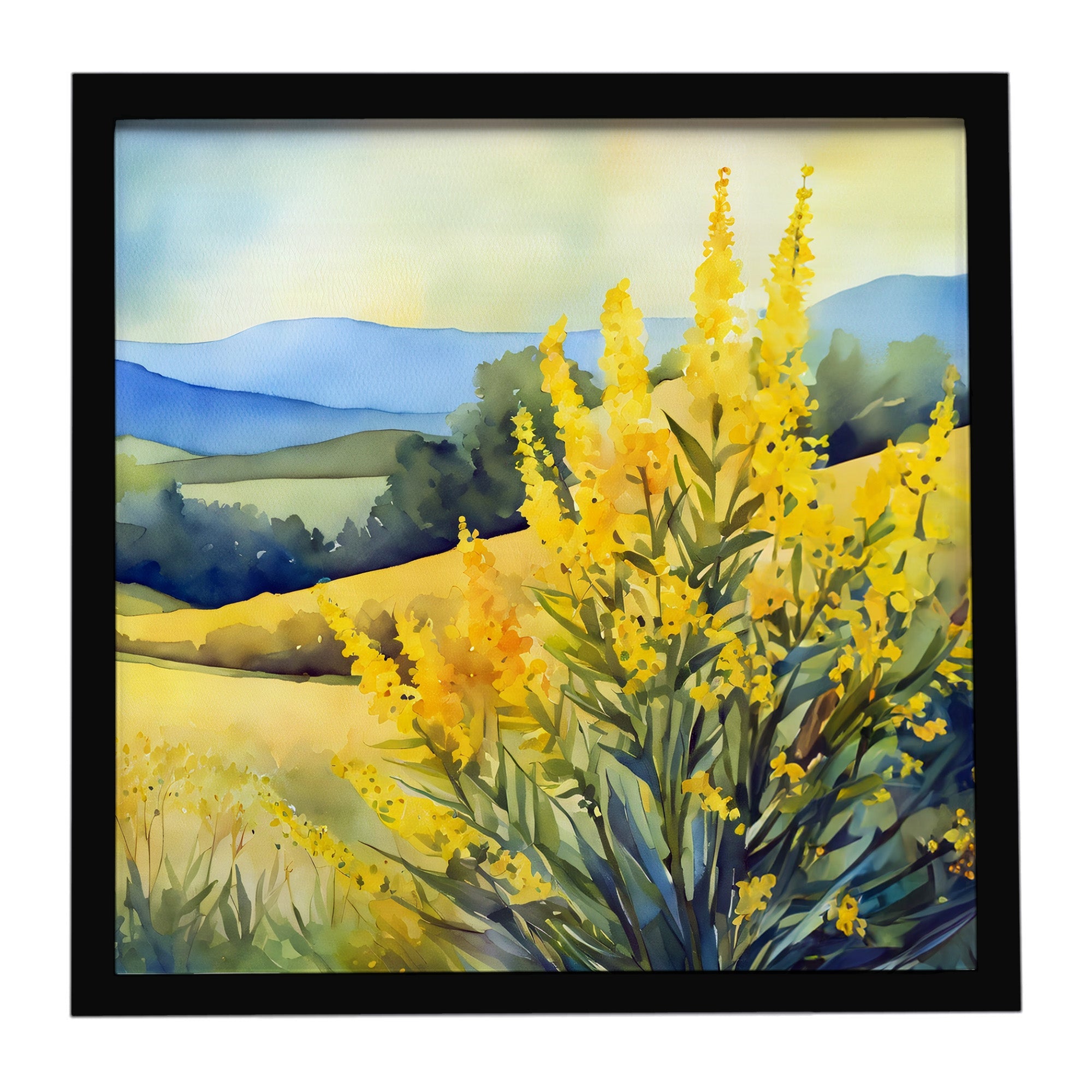 Kentucky Goldenrod in Watercolor Framed Metal Print Bathroom, Kitchen, Office, Home Decor Wall Art Ready to Hang, Square, 8X8