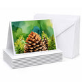 Maine White Pine Cone and Tassels in Watercolor Greeting Cards Pack of 8 Blank Cards with Envelopes Whimsical A7 Size 5x7