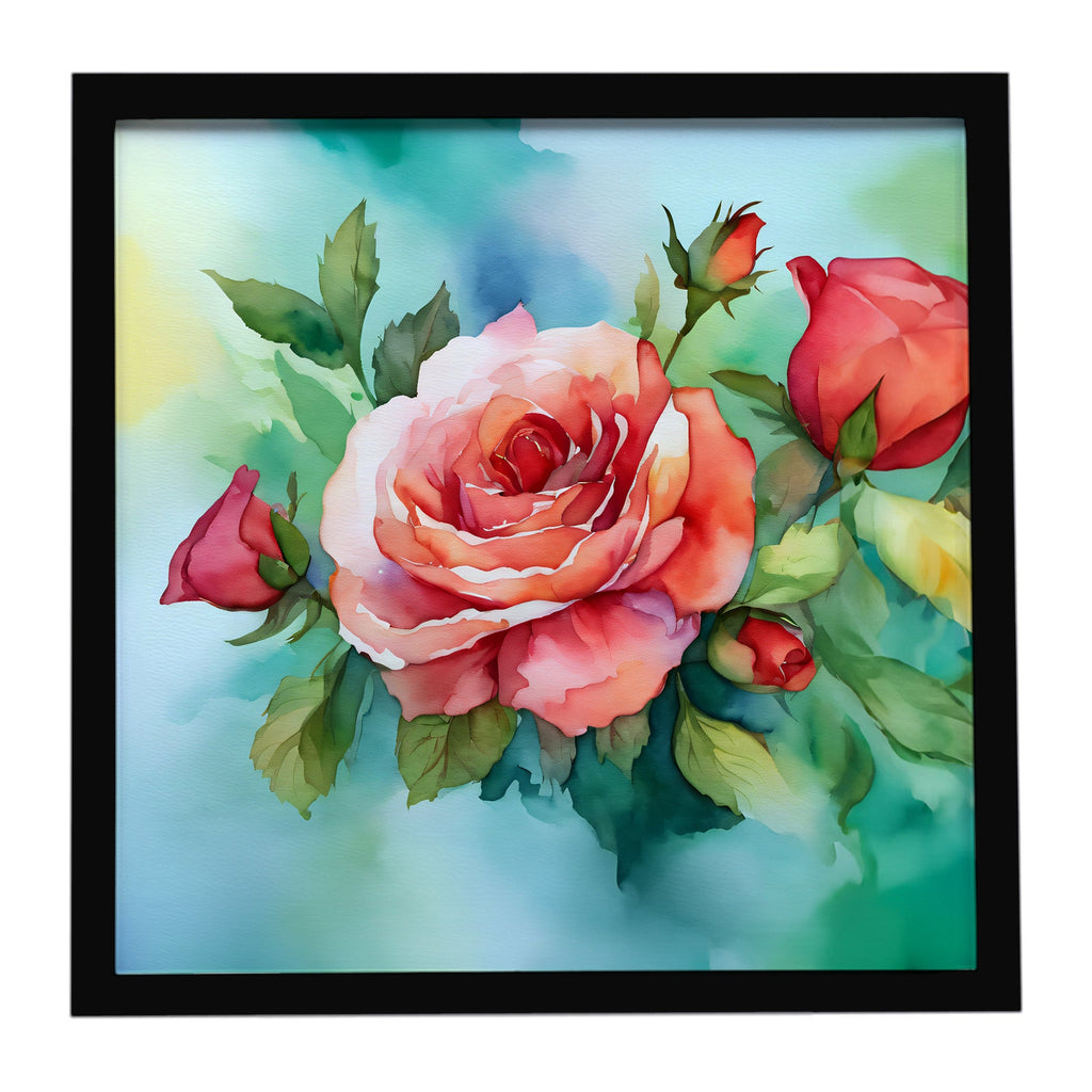 Oklahoma Roses in Watercolor Framed Metal Print Bathroom, Kitchen, Office, Home Decor Wall Art Ready to Hang, Square, 8X8