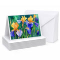 Tennessee Iris in Watercolor Greeting Cards Pack of 8 Blank Cards with Envelopes Whimsical A7 Size 5x7