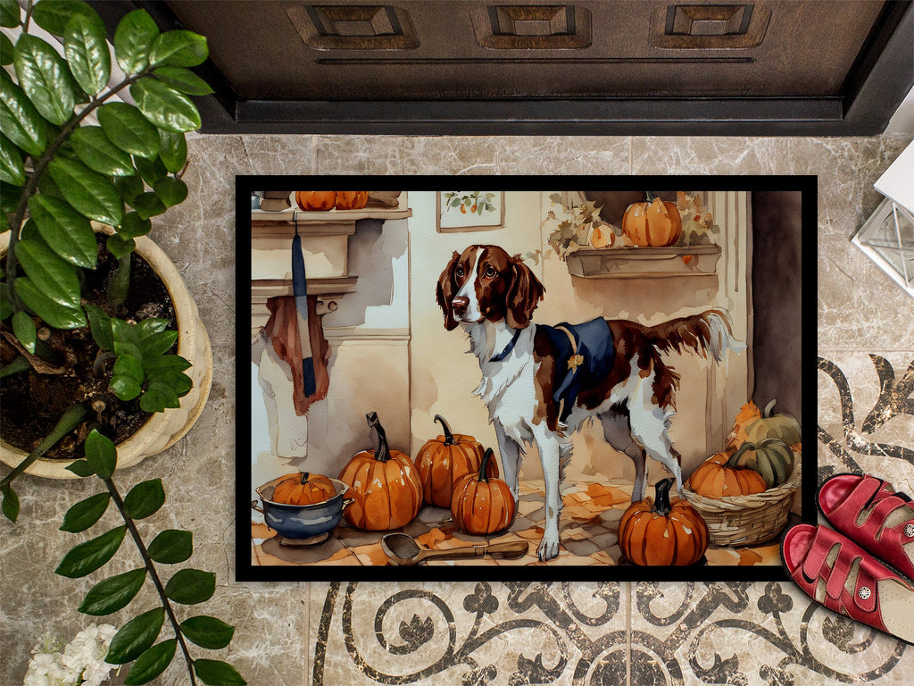 Brittany Fall Kitchen Pumpkins Doormat Indoor Outdoor 24H X 36W Front Door Mat Rugs for Entryway, Non Slip Washable Low Pile,