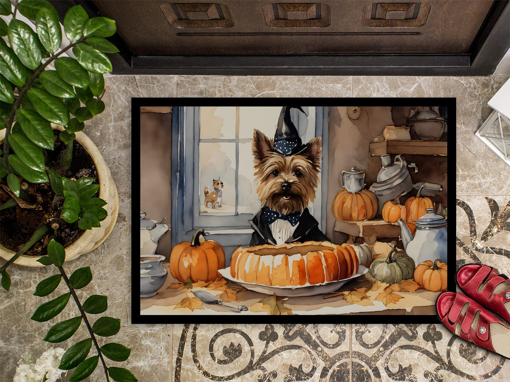 Cairn Terrier Fall Kitchen Pumpkins Doormat Indoor Outdoor 24H X 36W Front Door Mat Rugs for Entryway, Non Slip Washable Low Pile,