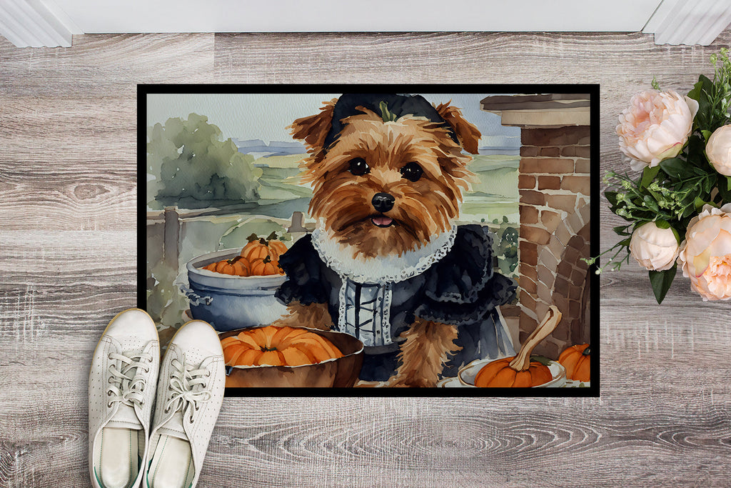 Norfolk Terrier Fall Kitchen Pumpkins Doormat Indoor Outdoor 24H X 36W Front Door Mat Rugs for Entryway, Non Slip Washable Low Pile,