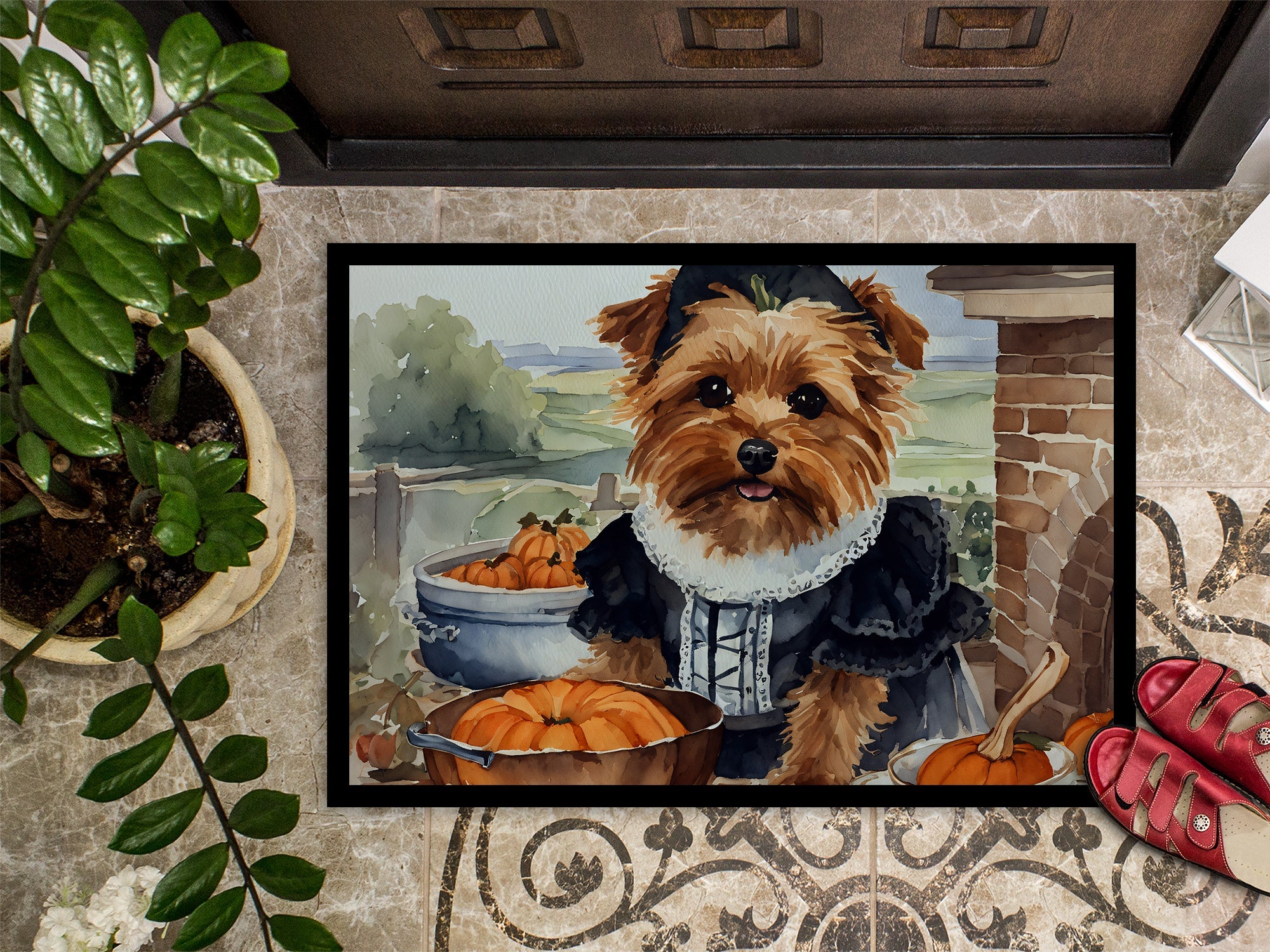 Norfolk Terrier Fall Kitchen Pumpkins Doormat Indoor Outdoor 24H X 36W Front Door Mat Rugs for Entryway, Non Slip Washable Low Pile,