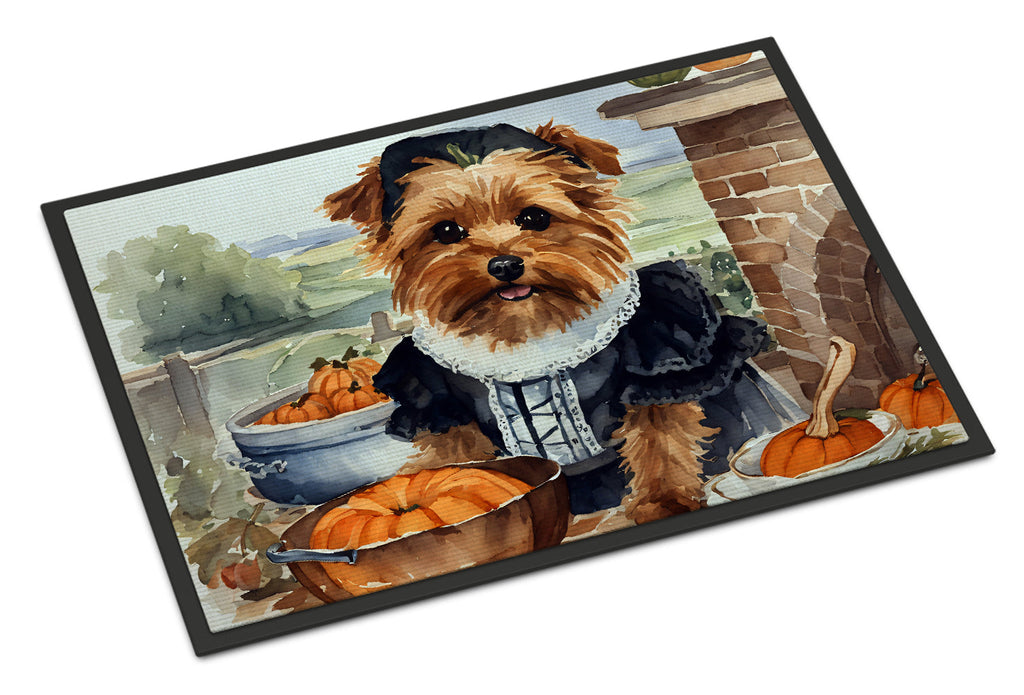 Norfolk Terrier Fall Kitchen Pumpkins Doormat Indoor Outdoor 18H X 27W Front Door Mat Rugs for Entryway, Non Slip Washable