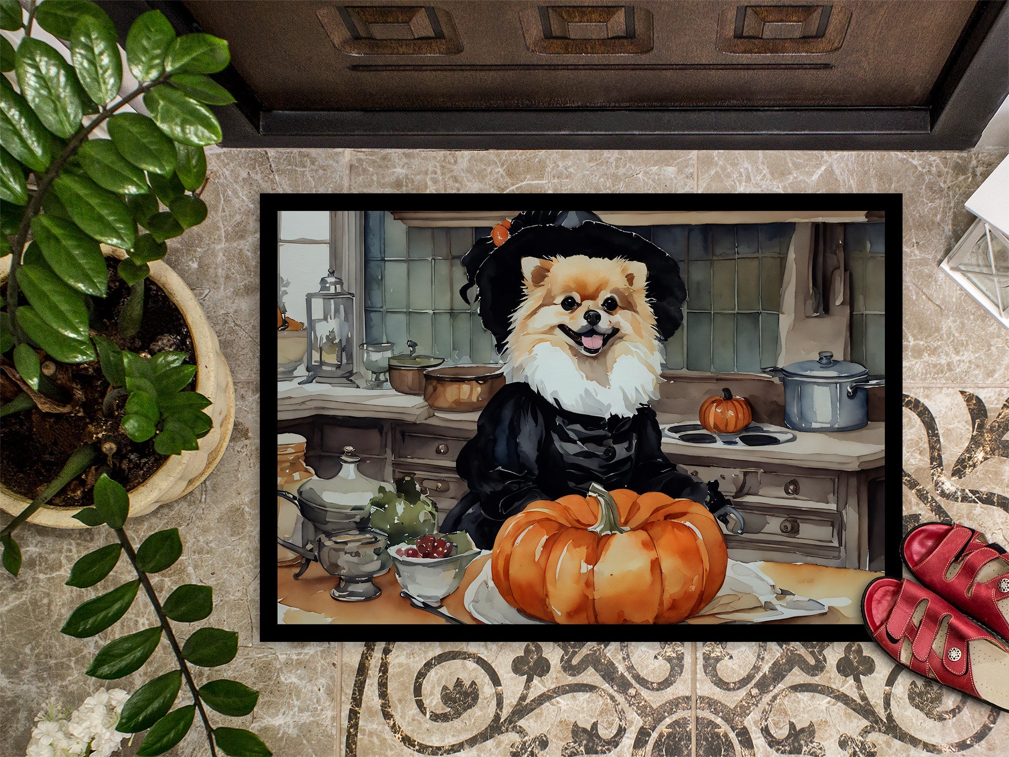 Pomeranian Fall Kitchen Pumpkins Doormat Indoor Outdoor 24H X 36W Front Door Mat Rugs for Entryway, Non Slip Washable Low Pile,