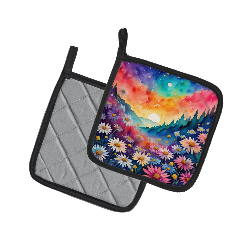Colorful Asters Pot Holder Set of 2 Heat Resistant Quilted Hot Pads 7.5 x 7.5 Inch, Insulated Kitchen Trivets for Cooking & Baking