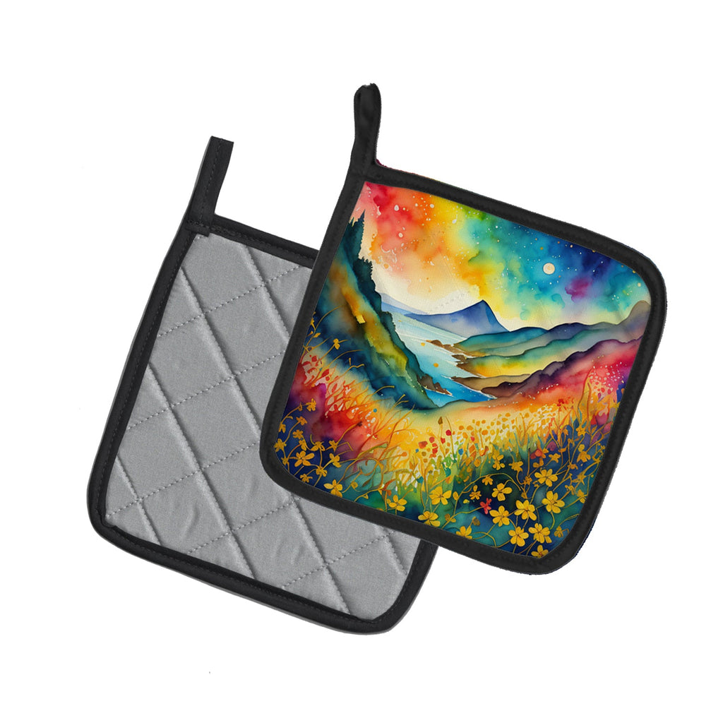 Colorful Hypericum or St. John’s Wort Pot Holder Set of 2 Heat Resistant Quilted Hot Pads 7.5 x 7.5 Inch, Insulated Kitchen Trivets for Cooking & Baking