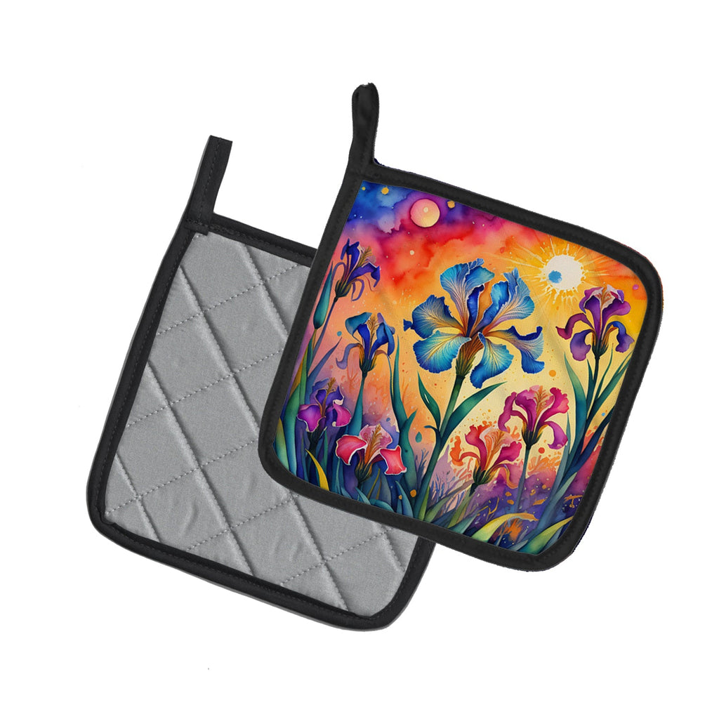 Colorful Iris Pot Holder Set of 2 Heat Resistant Quilted Hot Pads 7.5 x 7.5 Inch, Insulated Kitchen Trivets for Cooking & Baking