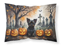 Affenpinscher Spooky Halloween Standard Pillowcase Lightweight Super Soft Easy Care Decorative Artwork Pillowcase, Standard