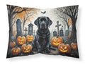 Black Labrador Retriever Spooky Halloween Standard Pillowcase Lightweight Super Soft Easy Care Decorative Artwork Pillowcase, Standard