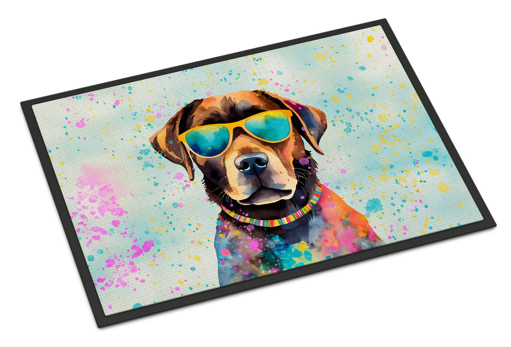 Chocolate Labrador Hippie Dawg Doormat Indoor Outdoor 24H X 36W Front Door Mat Rugs for Entryway, Non Slip Washable Low Pile,
