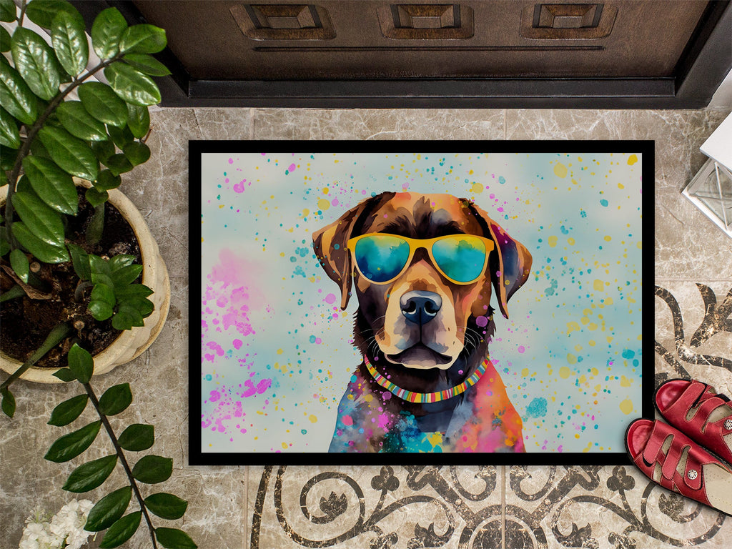Chocolate Labrador Hippie Dawg Doormat Indoor Outdoor 24H X 36W Front Door Mat Rugs for Entryway, Non Slip Washable Low Pile,